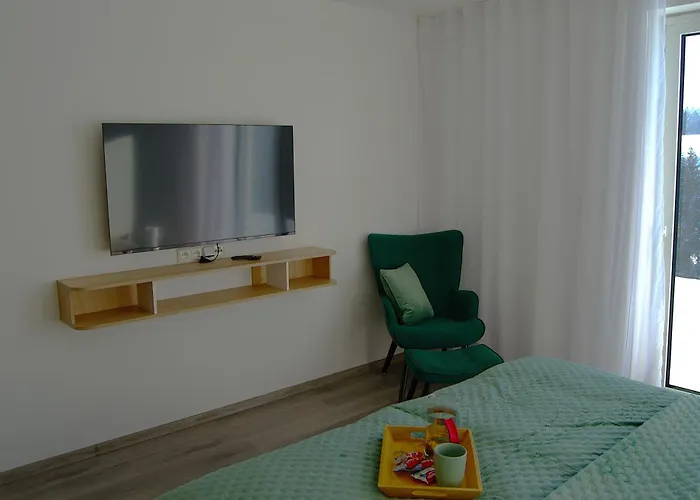Apartment Na Kopecku U Lesa Brezova (Sokolov)