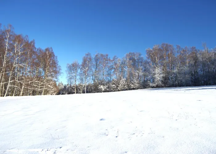 Na Kopecku U Lesa * Brezova (Sokolov)